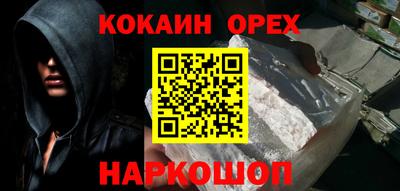 СК Кингисепп