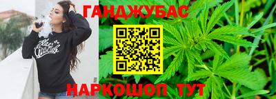 СК Кингисепп