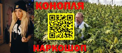 бошки Кинель
