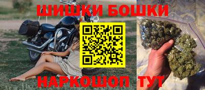 СК Кингисепп