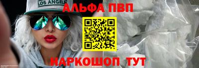 СК Кингисепп