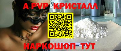 СК Кингисепп