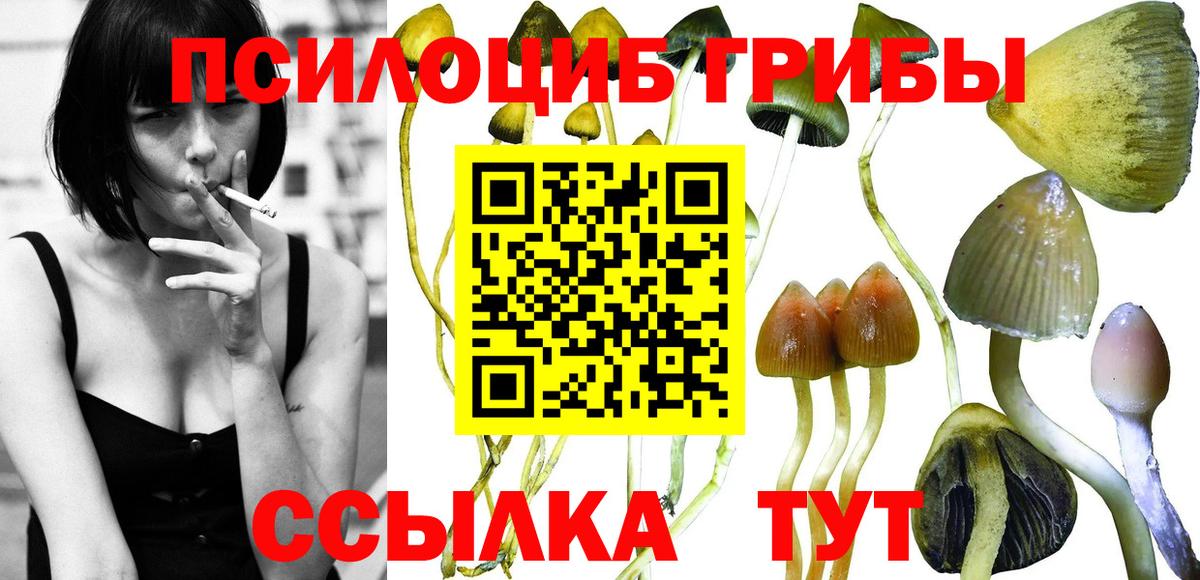 Галлюциногенные грибы ЛСД  Вход с VPN  Коломна 