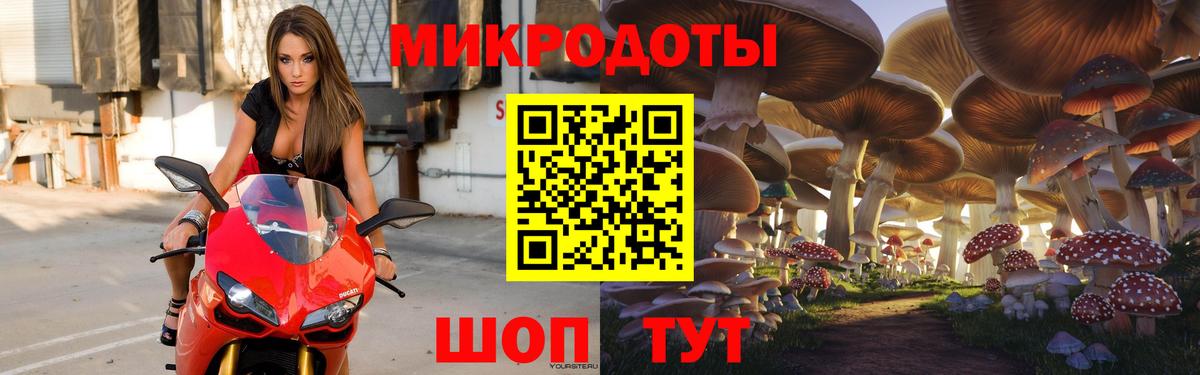 Псилоцибиновые грибы прущие грибы Коломна