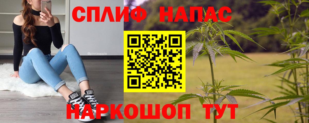 Конопля семена  Вход с VPN  Каннабис планчик  Коломна  Конопля MAZAR 